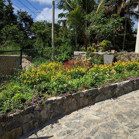 Kanda Holiday Bungalow Kandy Dış mekan fotoğraf